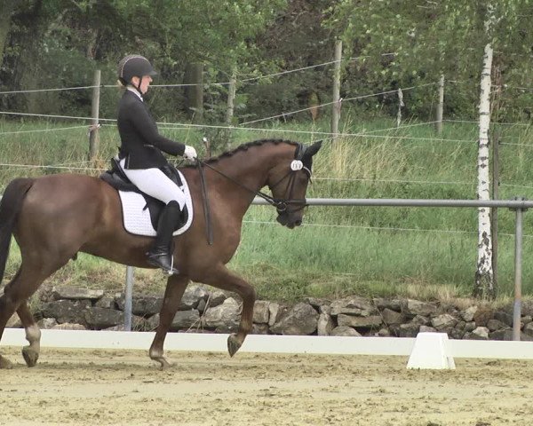 Reitturnier Reitanlage Birkenhof, Perl-Sinz 2020