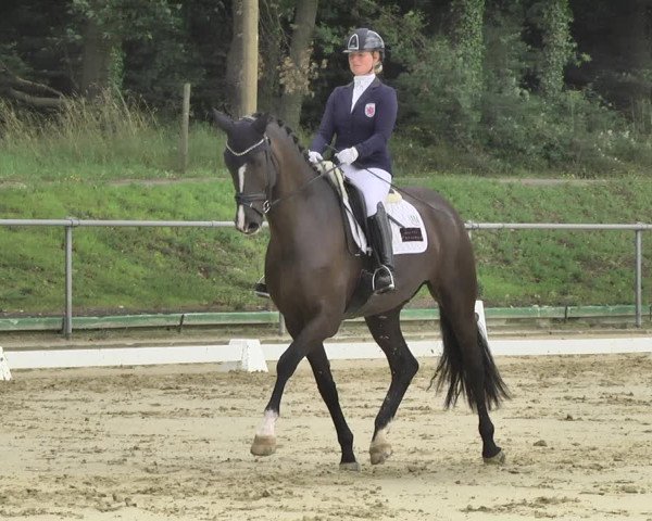 Reitturnier Reitanlage Birkenhof, Perl-Sinz 2020