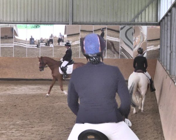 Reitturnier Reitanlage Birkenhof, Perl-Sinz 2020