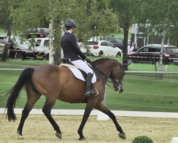 Reitturnier Reitanlage Birkenhof, Perl-Sinz 2020