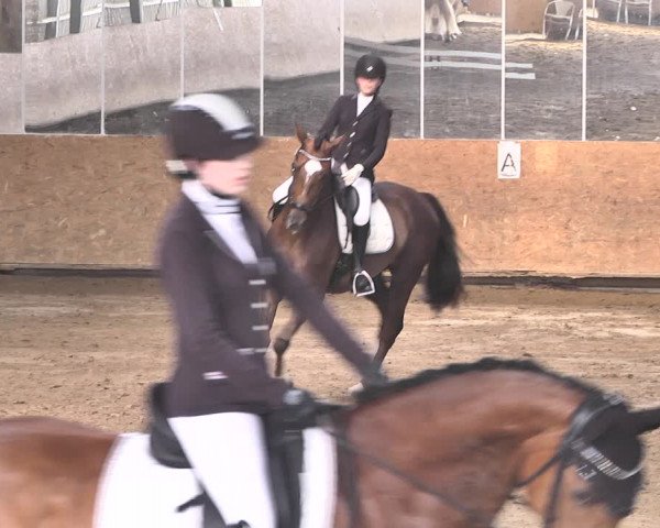 Reitturnier Reitanlage Birkenhof, Perl-Sinz 2020