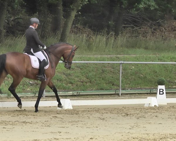Reitturnier Reitanlage Birkenhof, Perl-Sinz 2020