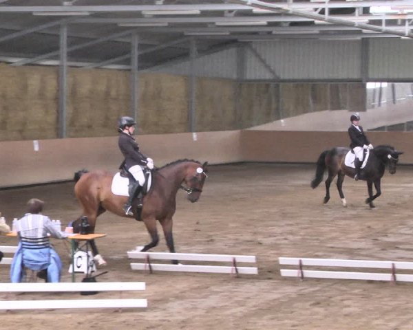 Reitturnier Reitanlage Birkenhof, Perl-Sinz 2020