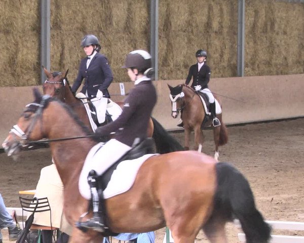 Reitturnier Reitanlage Birkenhof, Perl-Sinz 2020
