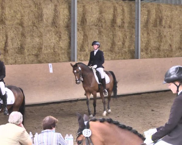 Reitturnier Reitanlage Birkenhof, Perl-Sinz 2020