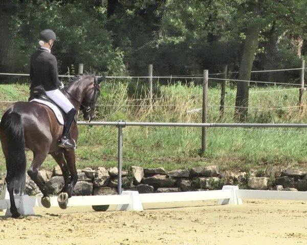 Reitturnier Reitanlage Birkenhof, Perl-Sinz 2020