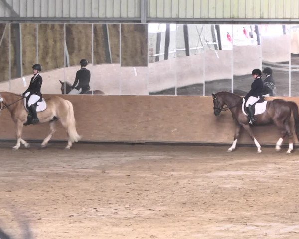Reitturnier Reitanlage Birkenhof, Perl-Sinz 2020