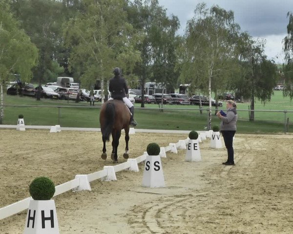 Reitturnier Reitanlage Birkenhof, Perl-Sinz 2020