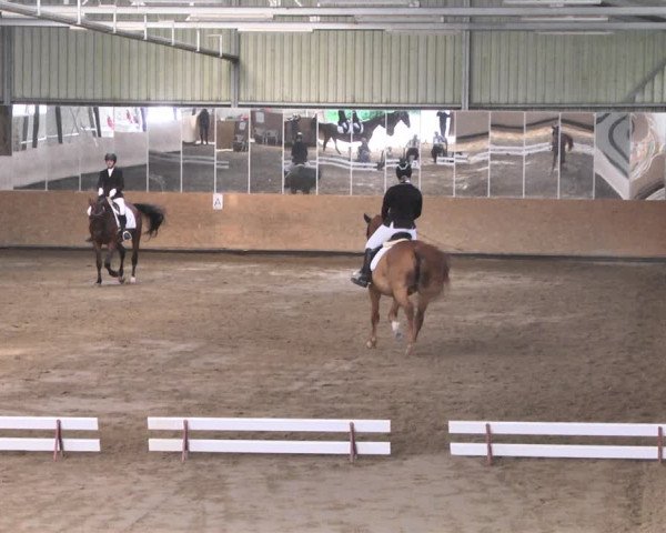 Reitturnier Reitanlage Birkenhof, Perl-Sinz 2020