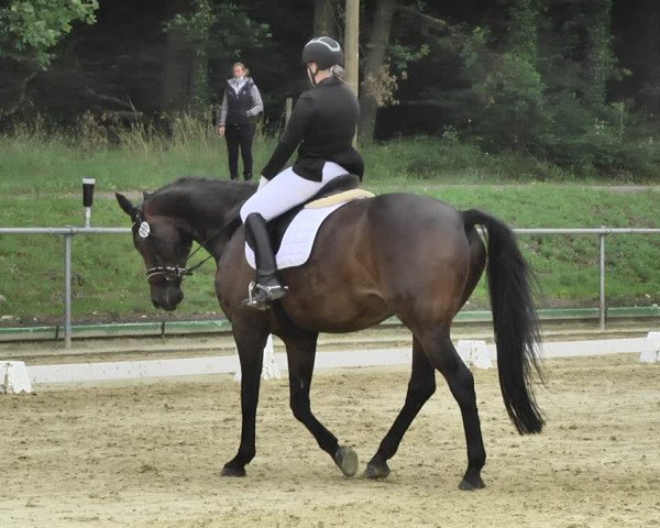 Reitturnier Reitanlage Birkenhof, Perl-Sinz 2020