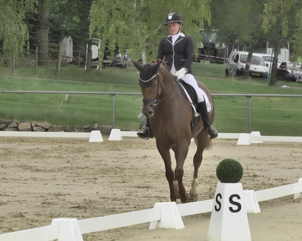 Reitturnier Reitanlage Birkenhof, Perl-Sinz 2020