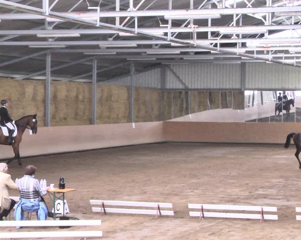 Reitturnier Reitanlage Birkenhof, Perl-Sinz 2020