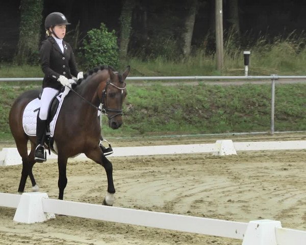 Reitturnier Reitanlage Birkenhof, Perl-Sinz 2020
