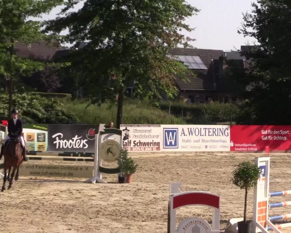 Dressur- und Springturnier Ochtrup 2021