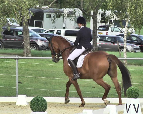 Reitturnier Reitanlage Birkenhof, Perl-Sinz 2020