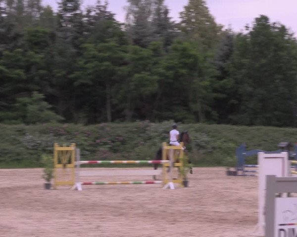 Reitturnier Pietzpuhl 2020
