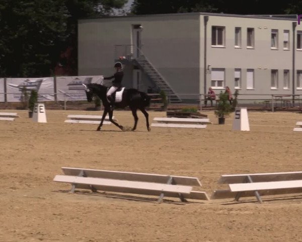 Reitturnier Hünxe-Bruckhausen 2020