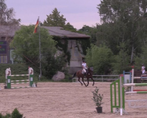 Reitturnier Pietzpuhl 2020