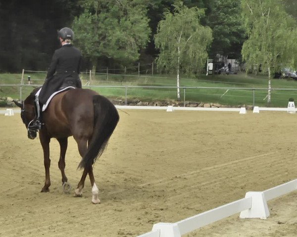 Reitturnier Reitanlage Birkenhof, Perl-Sinz 2020