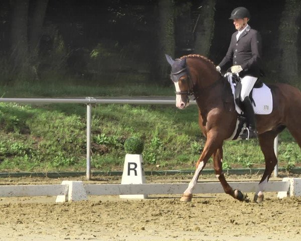 Reitturnier Reitanlage Birkenhof, Perl-Sinz 2020