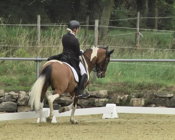 Reitturnier Reitanlage Birkenhof, Perl-Sinz 2020
