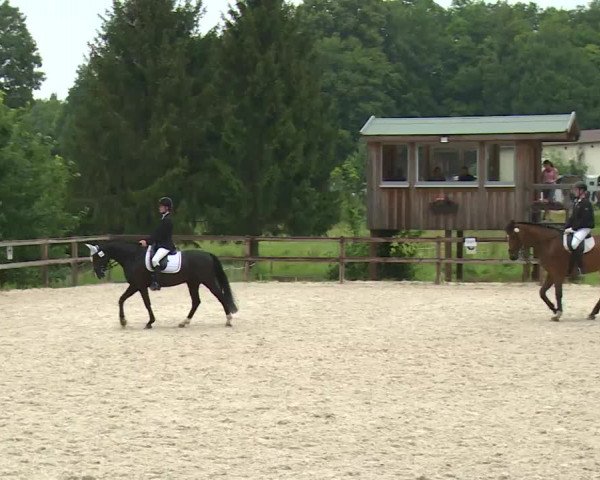 Reitturnier Birkenreuth/Ofr. 2020