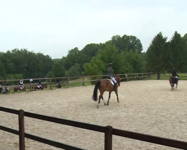 Reitturnier Birkenreuth/Ofr. 2020
