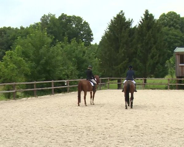 Reitturnier Birkenreuth/Ofr. 2020