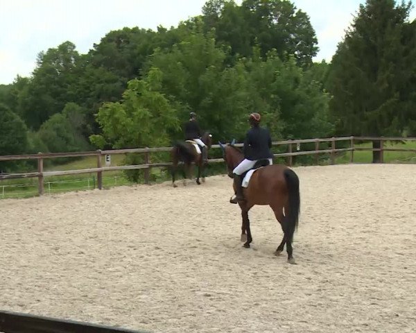 Reitturnier Birkenreuth/Ofr. 2020