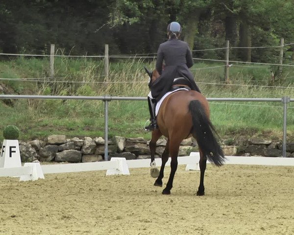 Reitturnier Reitanlage Birkenhof, Perl-Sinz 2020