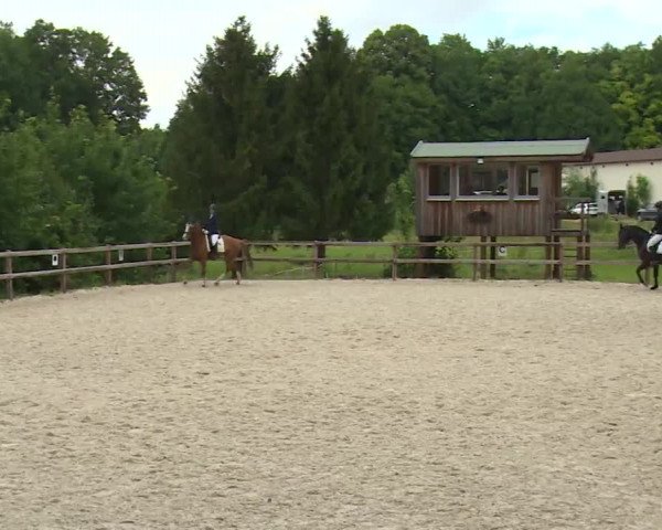 Reitturnier Birkenreuth/Ofr. 2020