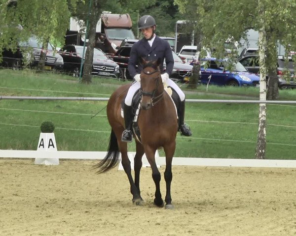 Reitturnier Reitanlage Birkenhof, Perl-Sinz 2020