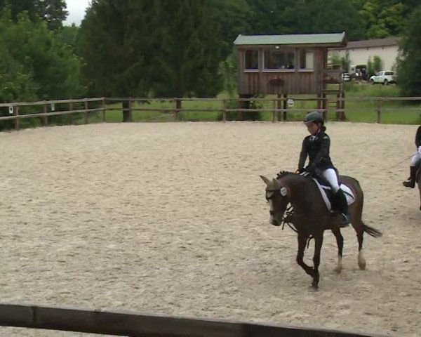 Reitturnier Birkenreuth/Ofr. 2020