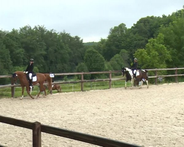 Reitturnier Birkenreuth/Ofr. 2020