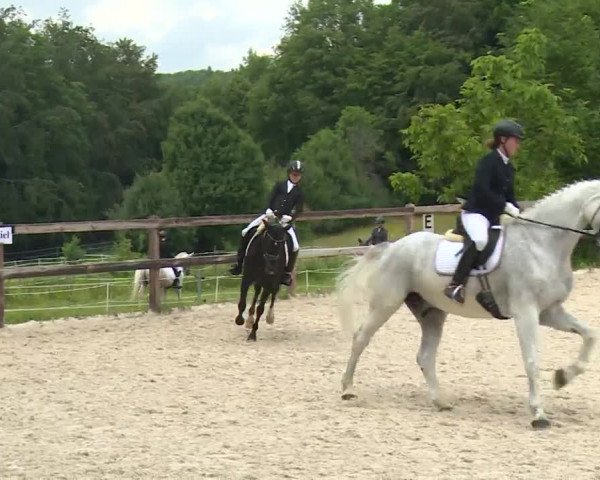 Reitturnier Birkenreuth/Ofr. 2020