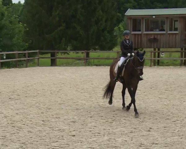 Reitturnier Birkenreuth/Ofr. 2020