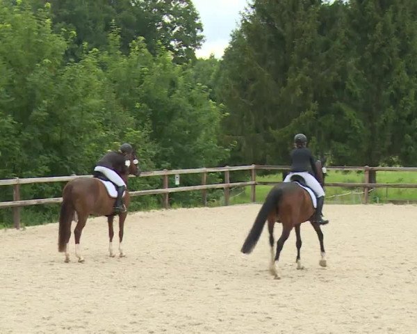 Reitturnier Birkenreuth/Ofr. 2020