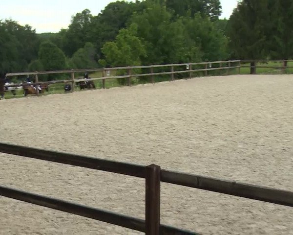 Reitturnier Birkenreuth/Ofr. 2020