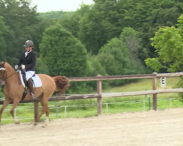 Reitturnier Birkenreuth/Ofr. 2020