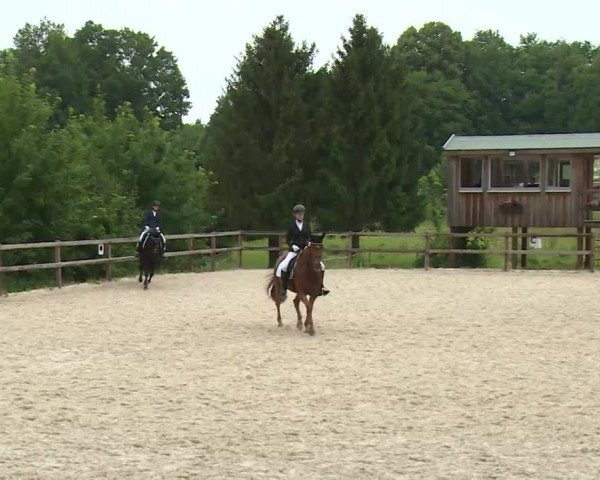 Reitturnier Birkenreuth/Ofr. 2020