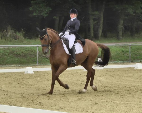 Reitturnier Reitanlage Birkenhof, Perl-Sinz 2020