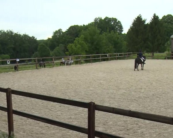 Reitturnier Birkenreuth/Ofr. 2020