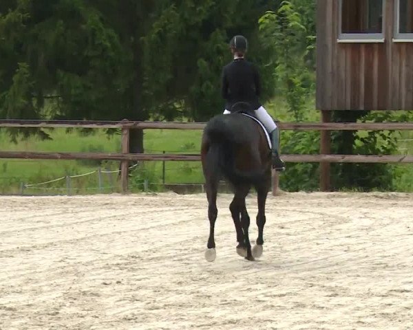 Reitturnier Birkenreuth/Ofr. 2020