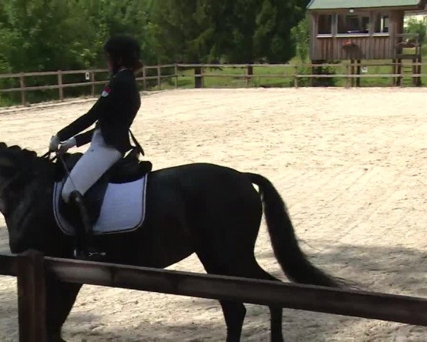 Reitturnier Birkenreuth/Ofr. 2020