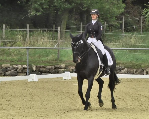 Reitturnier Reitanlage Birkenhof, Perl-Sinz 2020