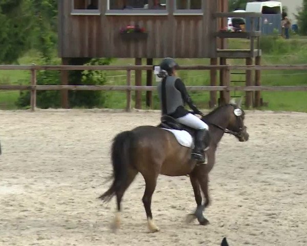Reitturnier Birkenreuth/Ofr. 2020