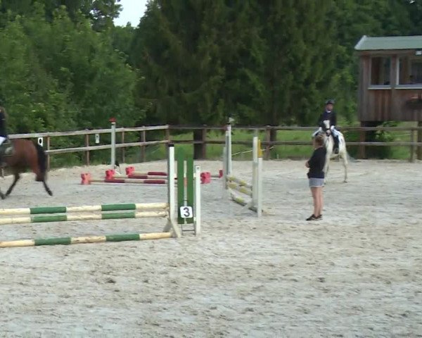 Reitturnier Birkenreuth/Ofr. 2020