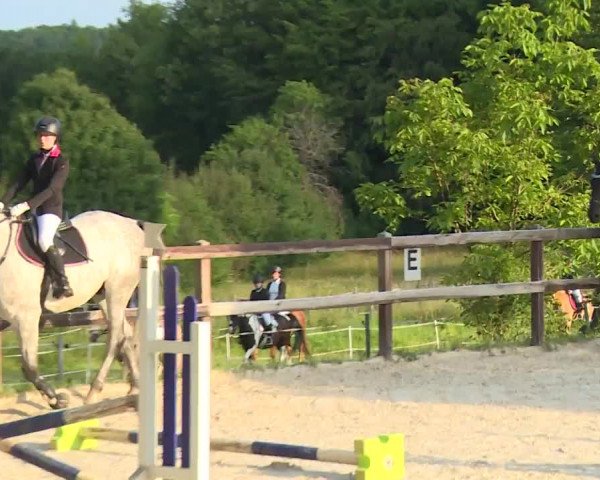Reitturnier Birkenreuth/Ofr. 2020