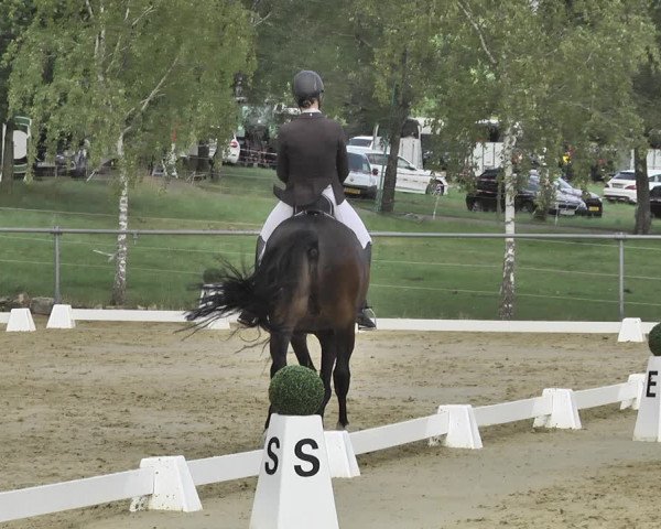 Reitturnier Reitanlage Birkenhof, Perl-Sinz 2020