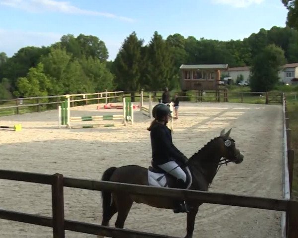 Reitturnier Birkenreuth/Ofr. 2020